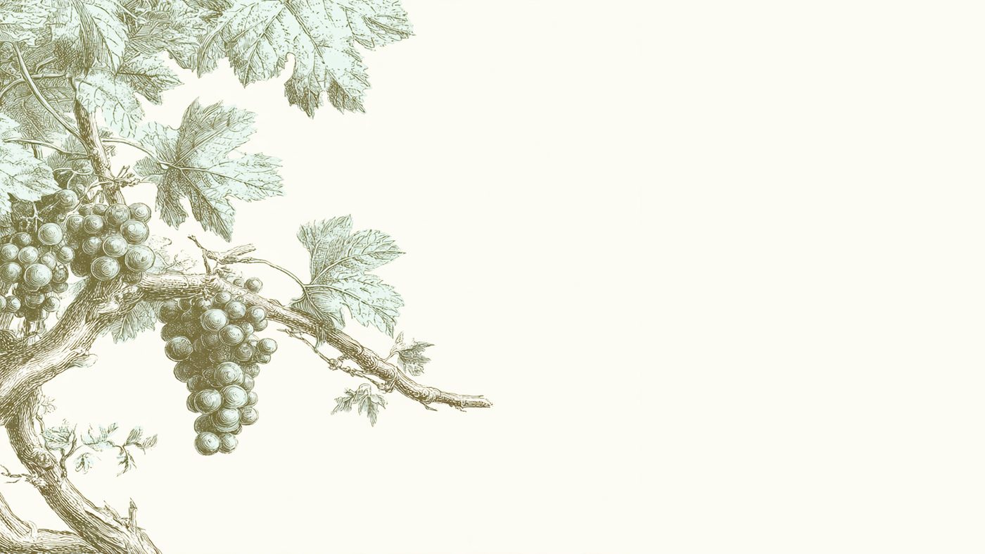 Root to Fruit